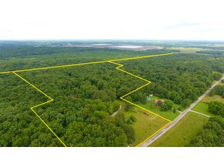 TRACT 32 - ILLINOIS LAND AUCTION - 4,810+/- ACRES OFFERED IN 85 TRACTS IN FRANKLIN, WILLIAMSON, HAMILTON & SALINE COUNTIES, ILLINOIS